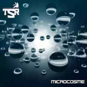 Microcosme BY TSR
